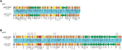 Genetic Diversity of Carbapenem-Resistant Enterobacteriaceae (CRE) Clinical Isolates From a Tertiary Hospital in Eastern China